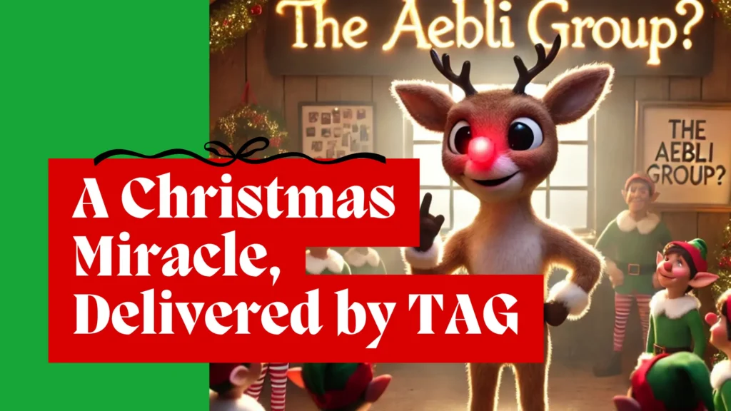 A Christmas Miracle, Delivered by TAG