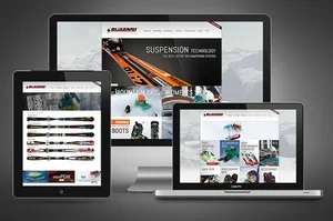 Web Asset screens